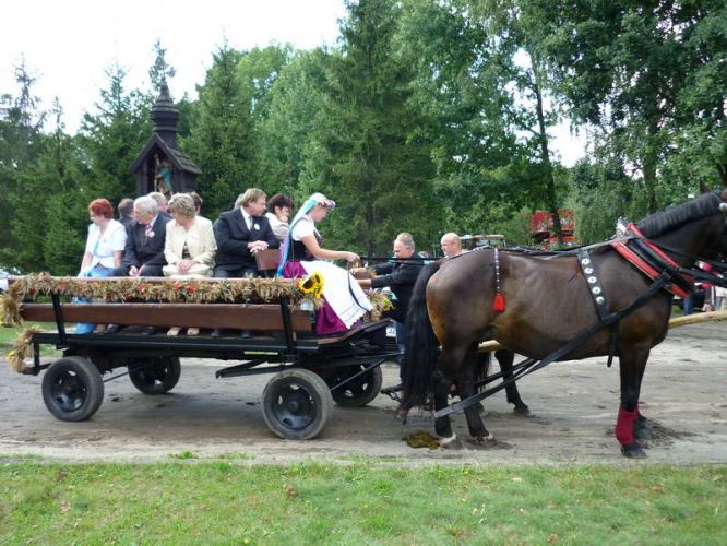 Kliknij aby zobaczy peny rozmiar