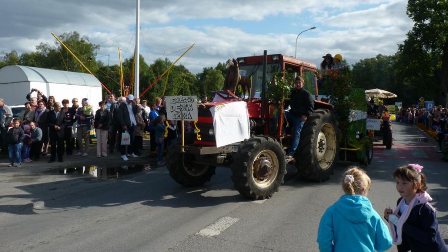 Kliknij aby zobaczy peny rozmiar