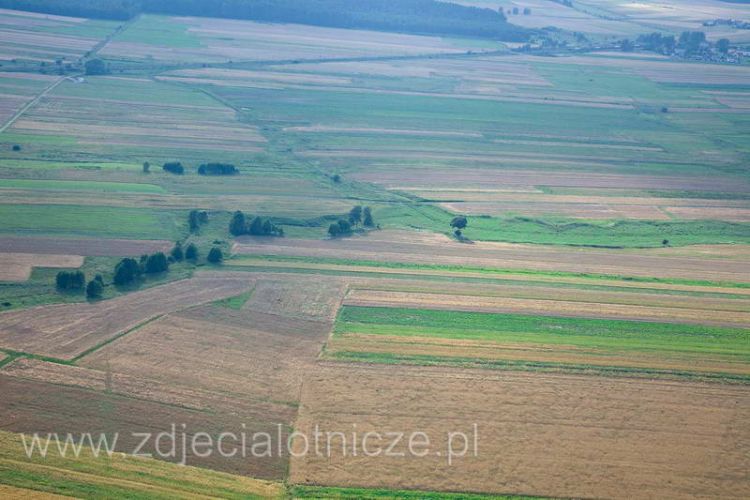 Kliknij aby zobaczy peny rozmiar